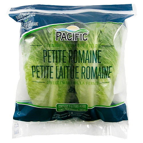 Petite Romaine
Fresh produce