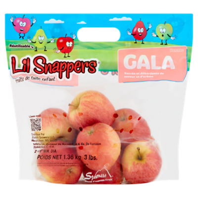 Gala Apples Fresh Produce Fruit, 3 LB Bag