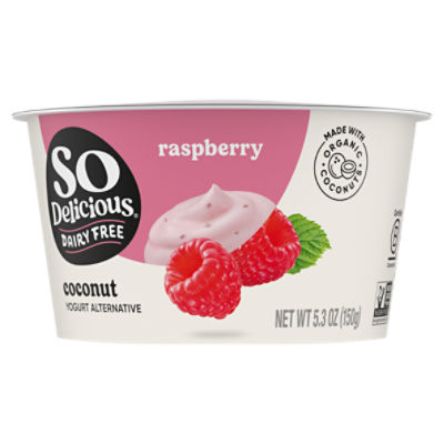 So Delicious Dairy Free Raspberry Coconutmilk Yogurt Alternative, 5.3