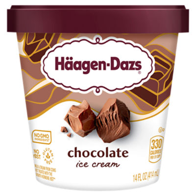 Häagen-Dazs Chocolate Ice Cream, 14 fl oz, 14 Fluid ounce