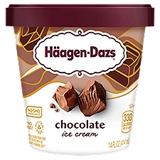 Haagen-Dazs Ice Cream - Chocolate, 14 Fluid ounce