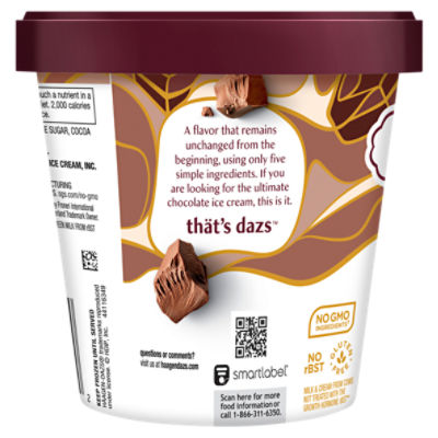 Häagen-Dazs Chocolate Ice Cream, 14 fl oz