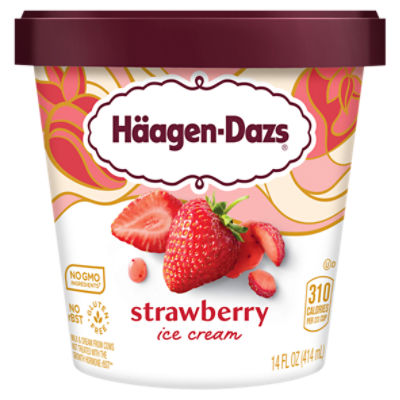 Häagen-Dazs Strawberry Ice Cream, 14 fl oz