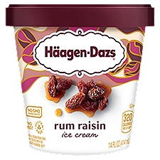 Häagen-Dazs Rum Rasin, Ice Cream, 14 Fluid ounce
