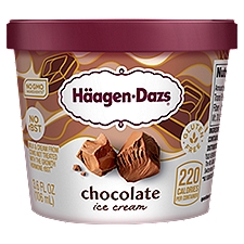Häagen-Dazs Chocolate Ice Cream, 3.6 fl oz