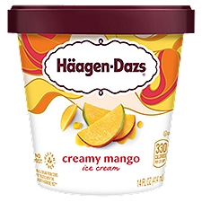 Häagen-Dazs Creamy Mango Ice Cream, 14 fl oz