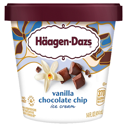 Häagen-Dazs Vanilla Chocolate Chip Ice Cream, 14 fl oz