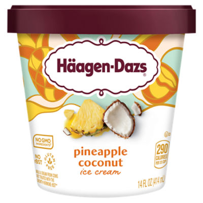 Häagen-Dazs Pineapple Coconut Ice Cream, 14 fl oz