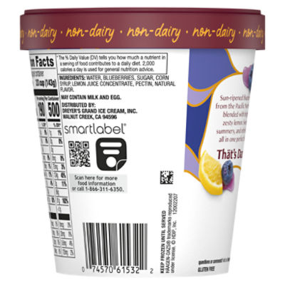 Häagen-Dazs Summer Blueberry & Lemon Sorbet, 14 fl oz