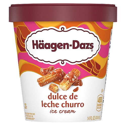 Häagen-Dazs Dulce De Leche Churro Ice Cream, 14 fl oz