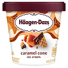 Häagen-Dazs Caramel Cone Ice Cream, 14 fl oz