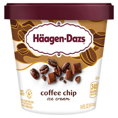 Häagen-Dazs Coffee Chip Ice Cream, 14 fl oz