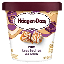 Häagen-Dazs Rum Tres Leches Ice Cream, 14 fl oz