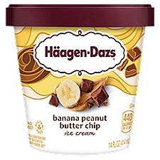 Häagen-Dazs Banana Peanut Butter Chip, Ice Cream, 14 Fluid ounce