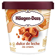 Häagen-Dazs Dulce de Leche, Ice Cream, 14 Fluid ounce