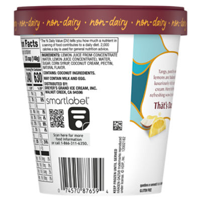 Häagen-Dazs Sweet Lemon Coconut Sorbet, 14 fl oz