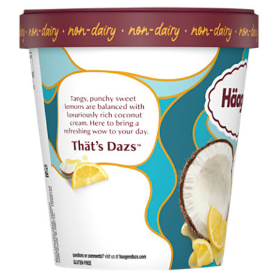Häagen-Dazs Sweet Lemon Coconut Sorbet, 14 fl oz