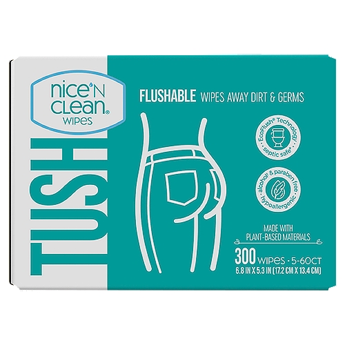 Nice 'n Clean Moist Toilet Tissue 300ct Club Box