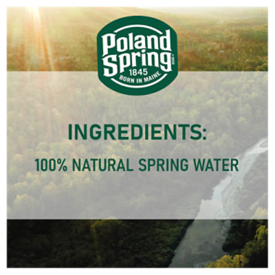 1 Gallon Jug Spring Water  Poland Spring® Brand 100% Natural Spring Water