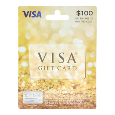  Visa $100 Gift Card (plus $5.95 Purchase Fee) : Gift Cards