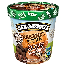Ben & Jerry's Non-Dairy Frozen Dessert Karamel Sutra® Core 16 oz