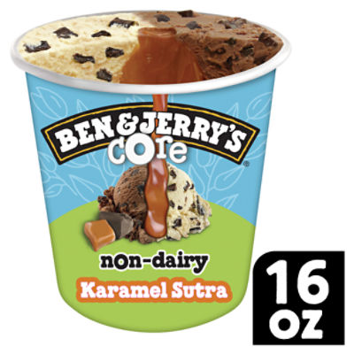 Ben & Jerry's Non-Dairy Frozen Dessert Karamel Sutra® Core 16 oz