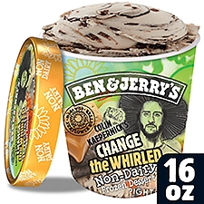 Ben & Jerry's Non-Dairy Colin Kaepernick's Change the Whirled Frozen Dessert 16 oz, 1 Pint