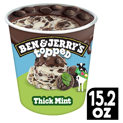 Ben & Jerry's Topped Thick Mint Ice Cream, 15.2 fl oz