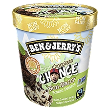 Ben & Jerry's Non-Dairy Mint Chocolate Chance Frozen Dessert, 16 oz, 1 Pint