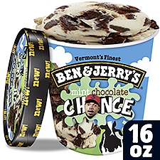 Ben & Jerry's Vermont's Finest Mint Chocolate Chance Loaded with Fudge Brownies Ice Cream, one pint