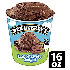 Ben & Jerry's Impretzively Fudged Chocolate Ice Cream Pint 16 oz, 16 Fluid ounce