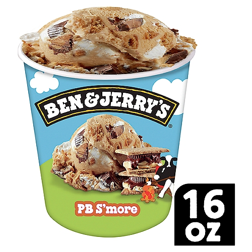 Ben & Jerry's PB S'more Marshmallow Ice Cream Pint 16 oz
