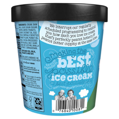 Peanut butter deals cup ben jerry