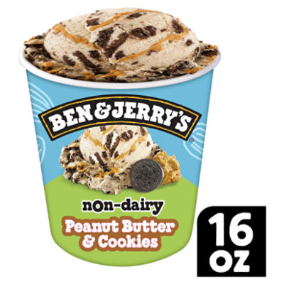 Ben & Jerry's Non-Dairy Peanut Butter & Cookies Frozen Dessert 16 oz