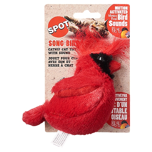 Spot Song Birds Catnip Cat Toy with Sound