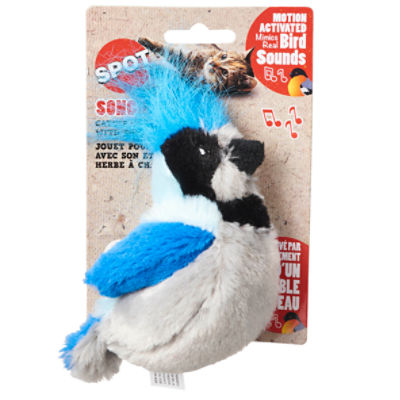 Blue bird shop cat toy