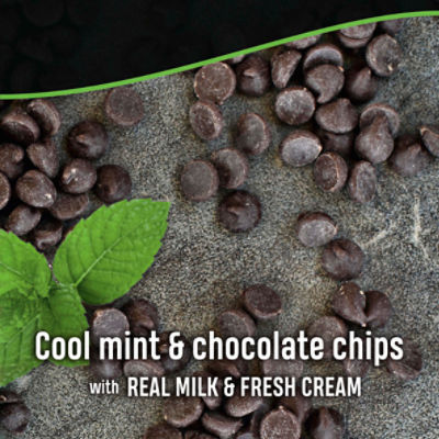 Breyers Ice Cream Mint Chocolate Chip 48 oz - The Fresh Grocer