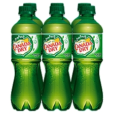Canada Dry Ginger Ale - 6 Pack Bottles, 101.44 Fluid ounce