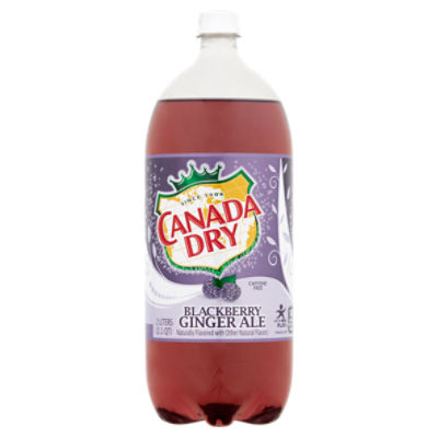Canada Dry Blackberry Ginger Ale - Single Bottle, 67.6 fl oz