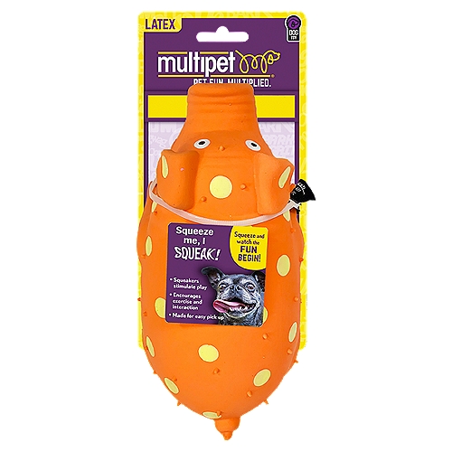 Multipet Squeakables Latex Dog Toy