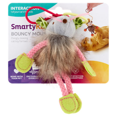 Smartykat mouse hot sale toy