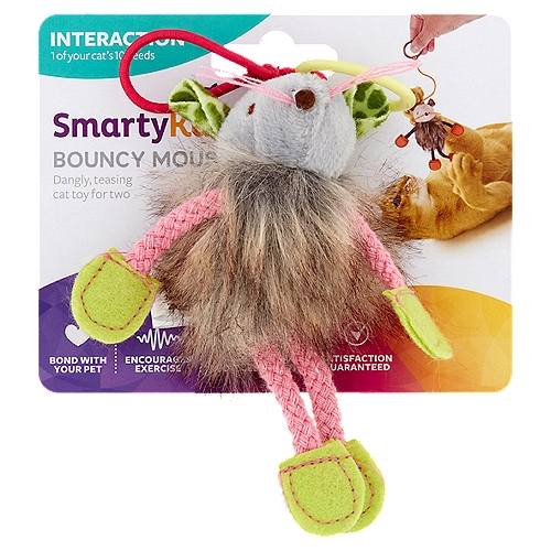 SmartyKat Bouncy Mouse Cat Toy