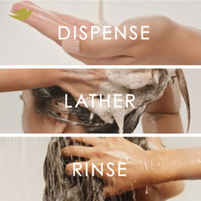 Dove Coconut & Hydration Shampoo, 12 fl oz Image 9 of 21