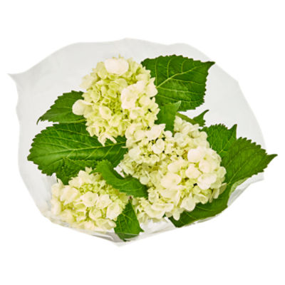 The Floral Shoppe Mini Green Hydrangea Bunch
