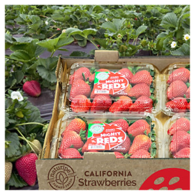Naturipe Farmed Fresh Mighty Reds Jumbo Strawberries, 20 oz