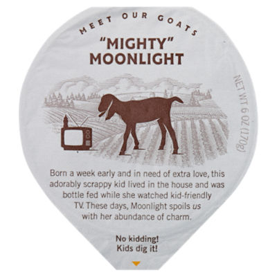 Meet The Moonlight 16 oz Insulated Bottle, Reusables