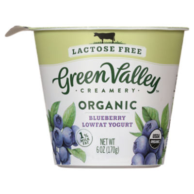 Green Valley Creamery Lactose Free Organic Blueberry Lowfat Yogurt, 6 oz