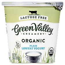 Green Valley Creamery Lactose Free Organic Plain Lowfat Yogurt, 24 oz