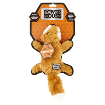 Power House Dog Toy, 1 Each