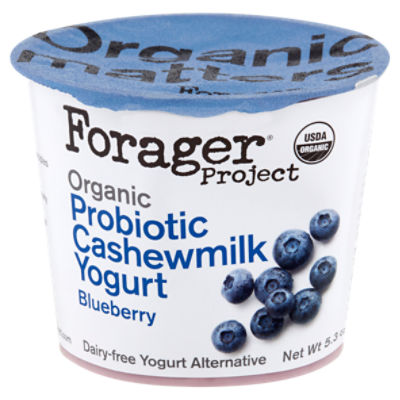 Forager Project Organic Blueberry Probiotic Cashewmilk Dairy Free Yogurt Alternative, 5.3 oz